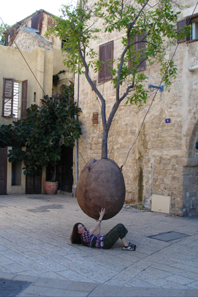 Hanging tree in Jaffa, Israel 